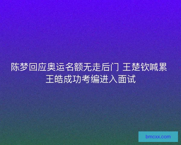 陈梦回应奥运名额无走后门 王楚钦喊累 王皓成功考编进入面试