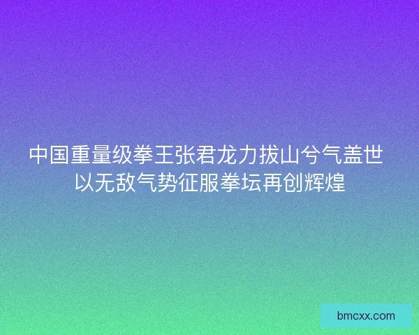 中国重量级拳王张君龙力拔山兮气盖世 以无敌气势征服拳坛再创辉煌