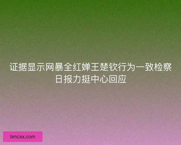 证据显示网暴全红婵王楚钦行为一致检察日报力挺中心回应