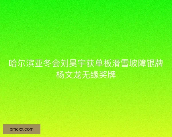哈尔滨亚冬会刘昊宇获单板滑雪坡障银牌杨文龙无缘奖牌