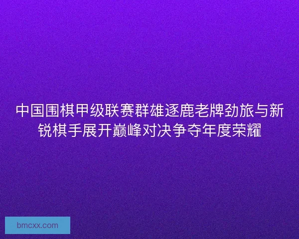 中国围棋甲级联赛群雄逐鹿老牌劲旅与新锐棋手展开巅峰对决争夺年度荣耀